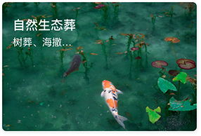 北京墓地前十名